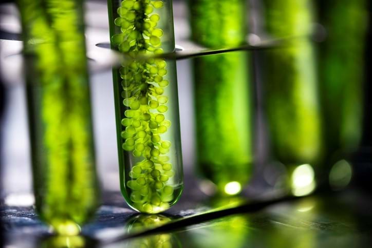 Alternative Fuel Gettyimages 1151361649