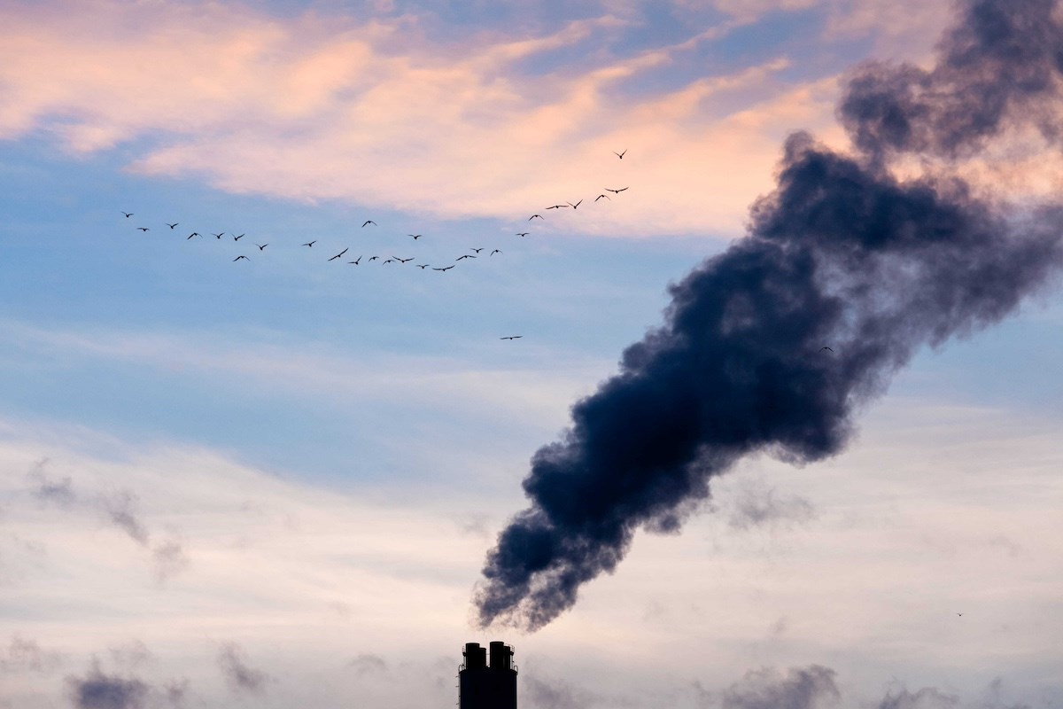 Reduce Carbon Emissions (1)