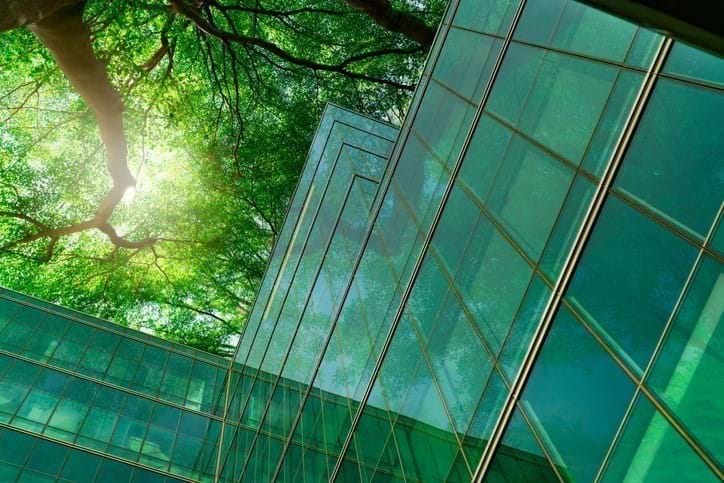 Tree_sustainable_building
