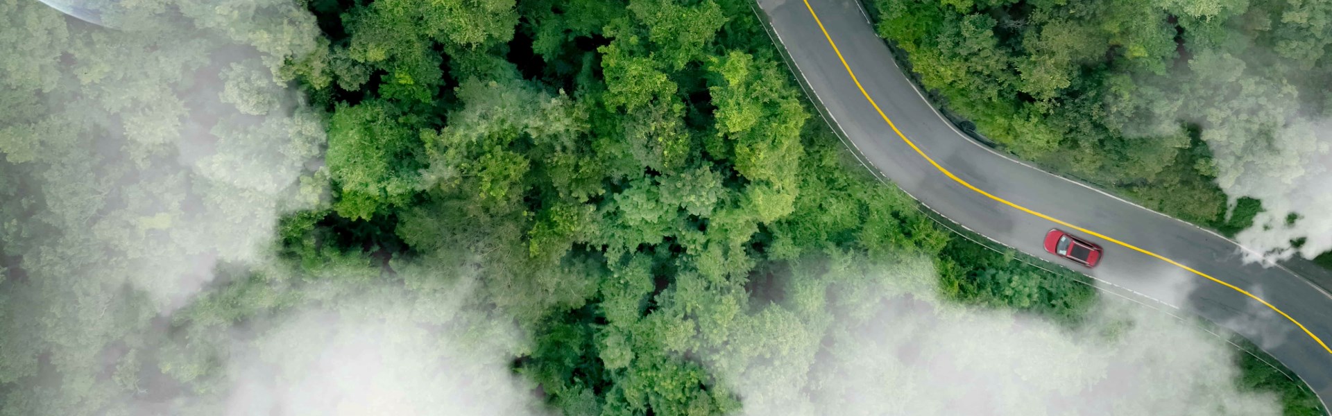 Scenic View Of Car Driving Through Lush Forest 2026 09 23 07 21 24 Utc (1) (2)