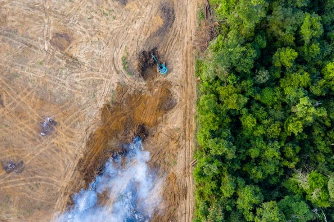 Deforestation Gettyimages 1302324663