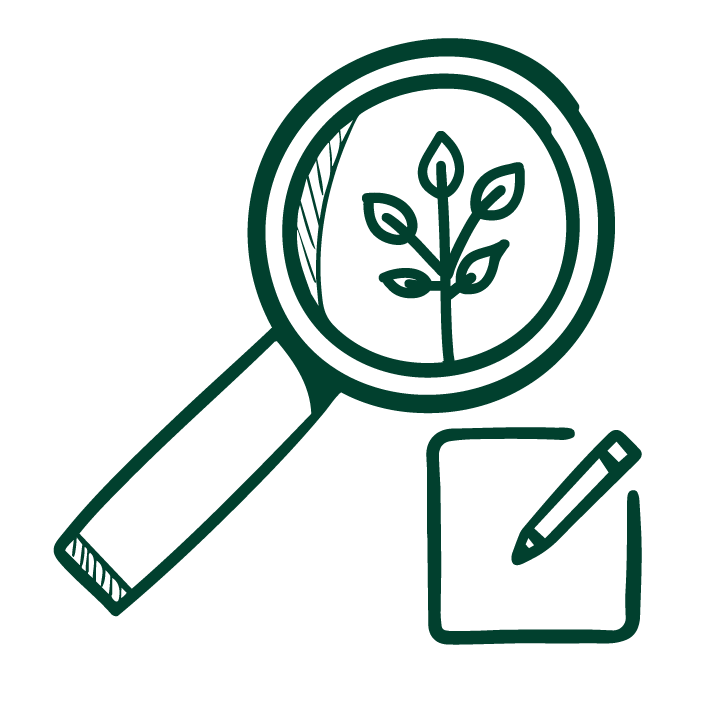 Research Dark Green