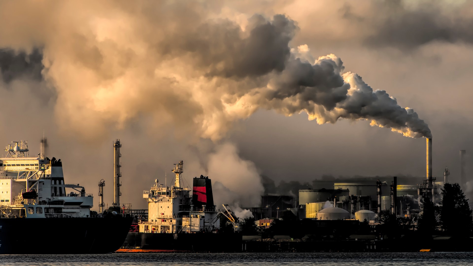Greenwash Crackdown