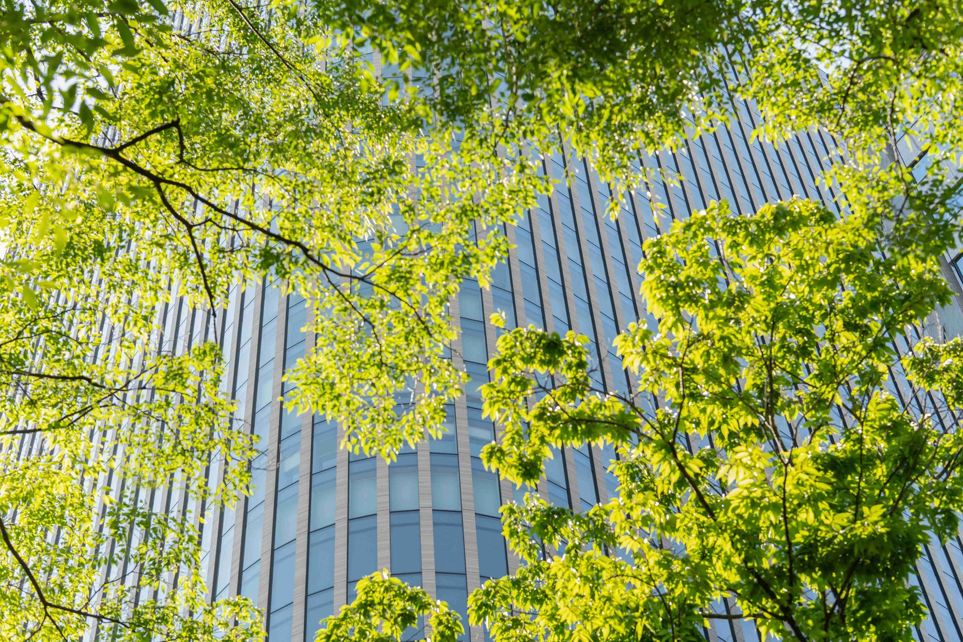 Sustainable Green Buildings Environmentally Frien 2026 03 24 21 58 51 Utc (1)