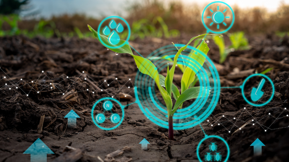 Agriculture Resize