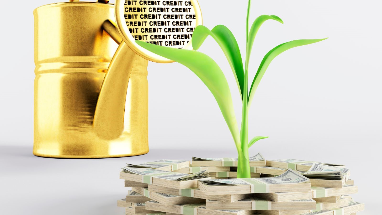 Green Lending
