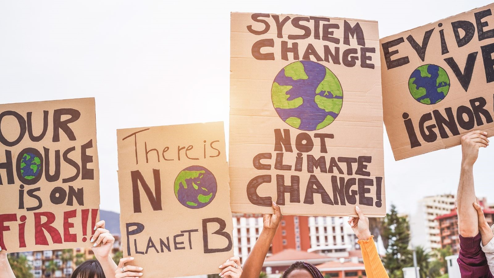 Activism